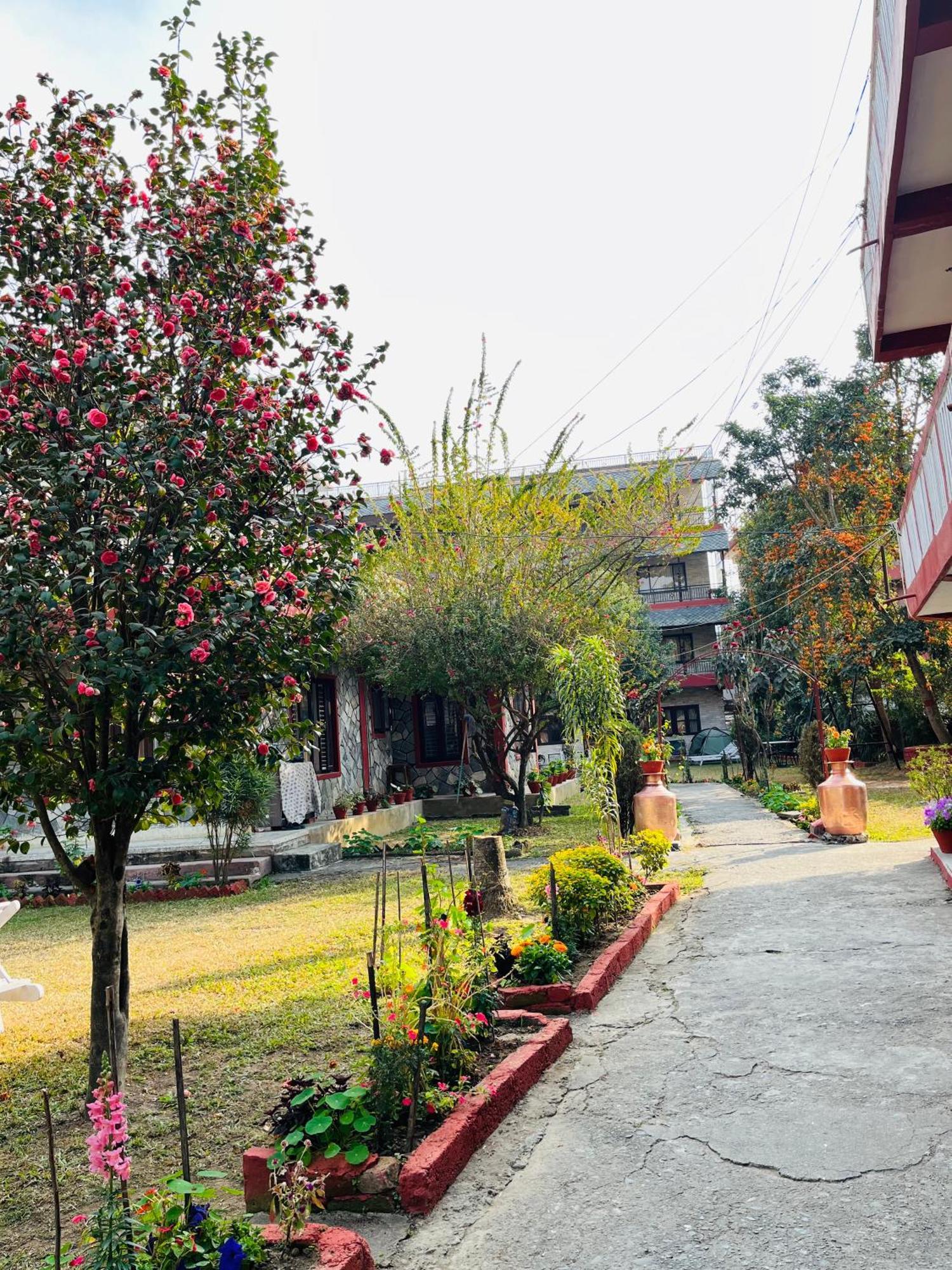 Butterfly Lodge Pokhara Exterior foto